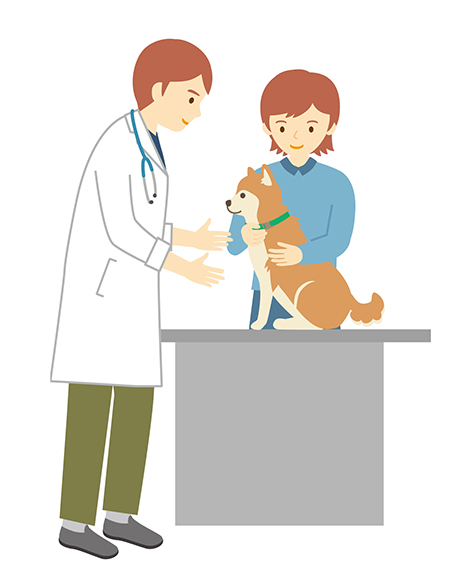 高橋どうぶつ病院