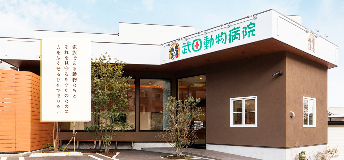 武田動物病院