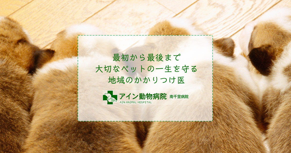 アイン動物病院 南千里病院