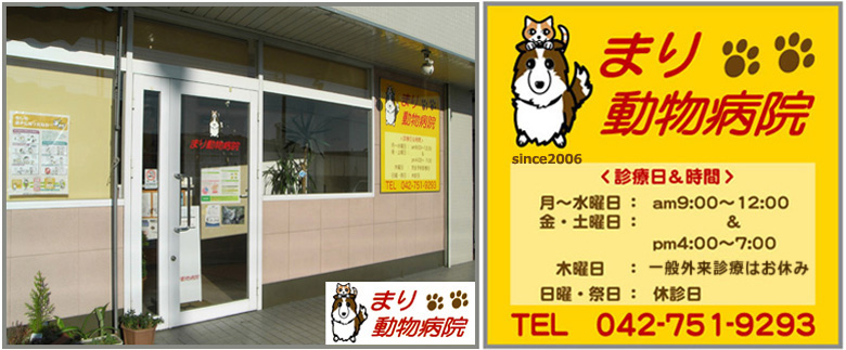 まり動物病院