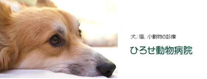 ひろせ動物病院