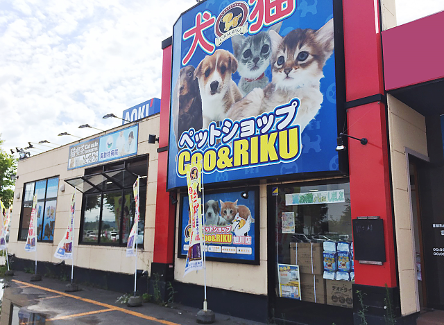 海動物病院　旭川往診所