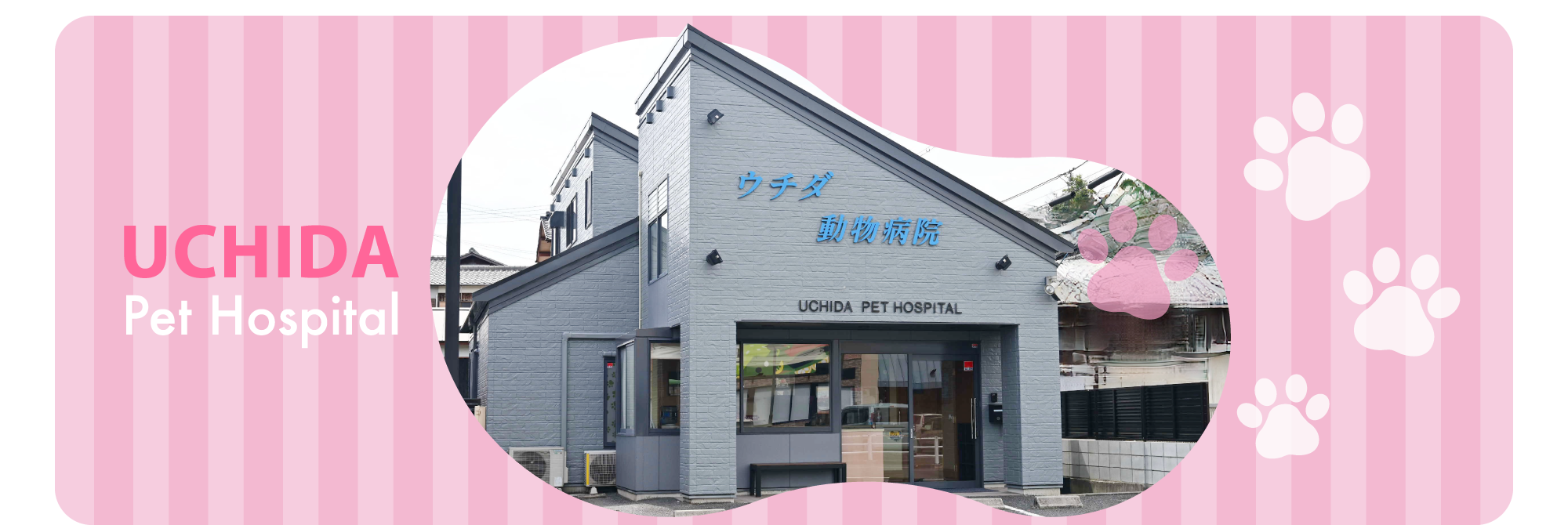ウチダ動物病院