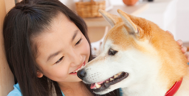 おたき動物病院