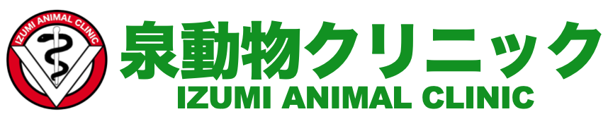 泉動物クリニック
