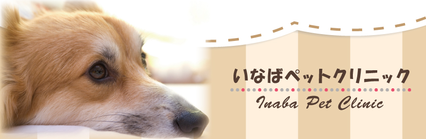 いなばペットクリニック