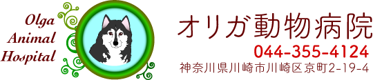 オリガ動物病院