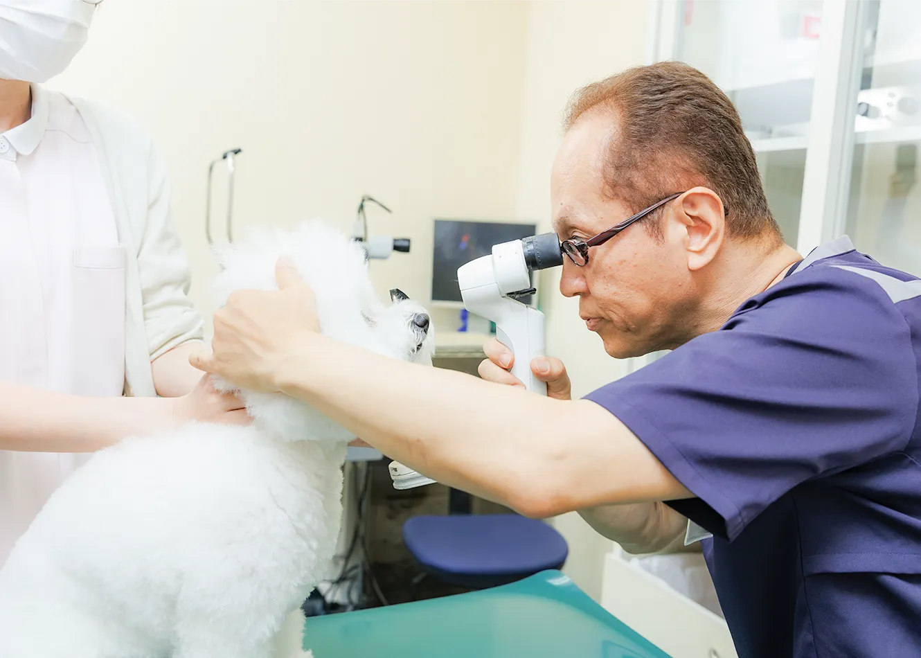 ナディア動物クリニック 動物眼科