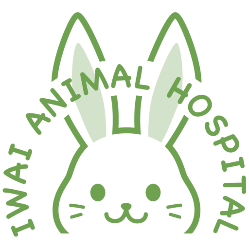 岩井動物病院