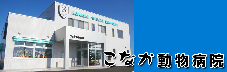 こなか動物病院