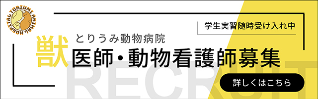 とりうみ動物病院
