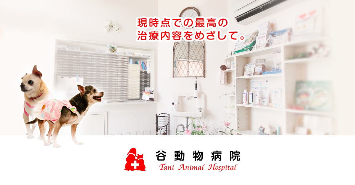 谷動物病院