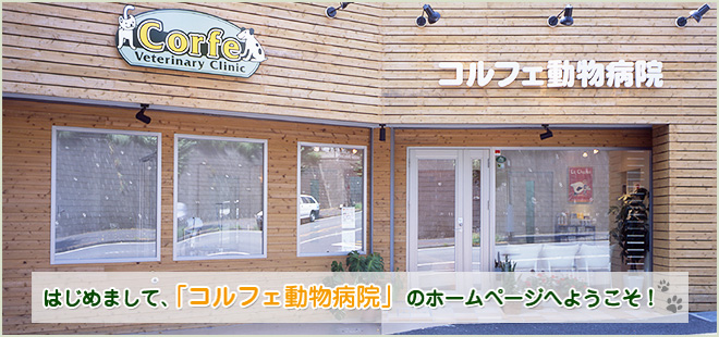 コルフェ動物病院