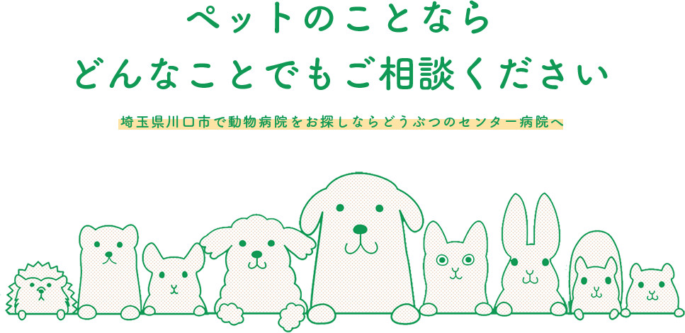 どうぶつのセンター病院