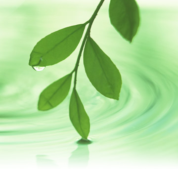 なかはら動物病院