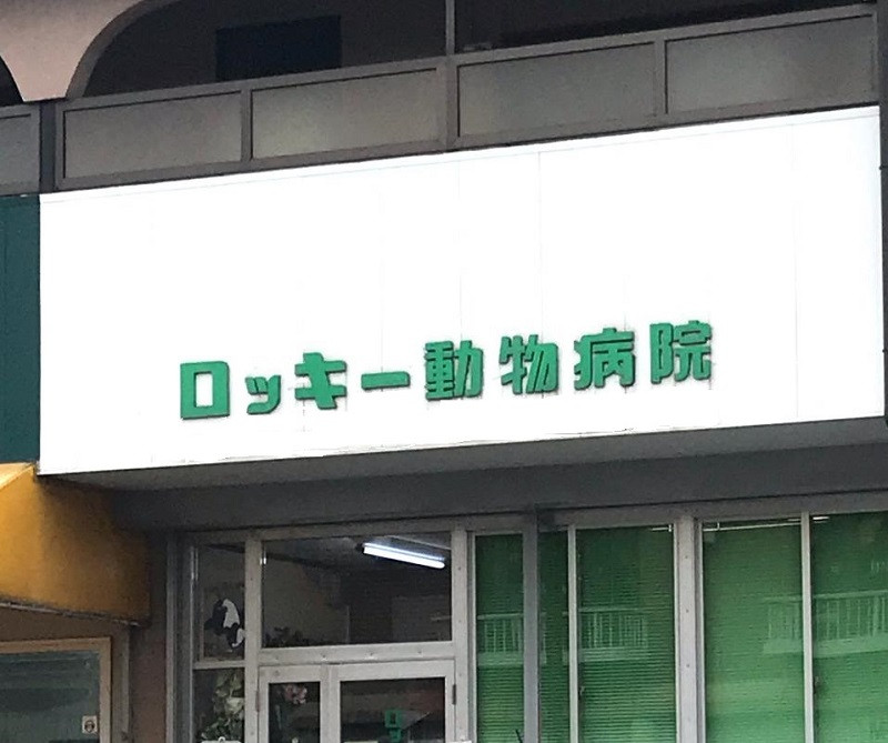 ロッキー動物病院