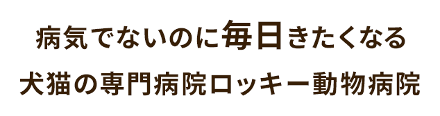 ロッキー動物病院