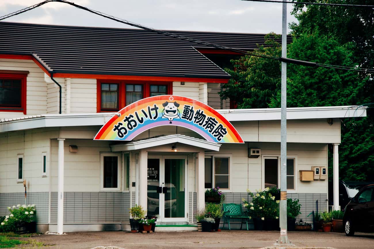 おおいけ動物病院