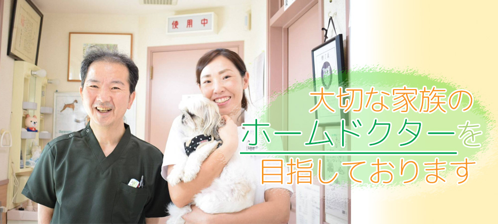 エルム動物クリニック