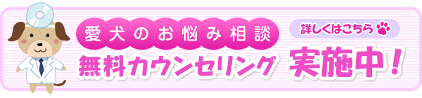 トリミング・ペットホテル みるみる