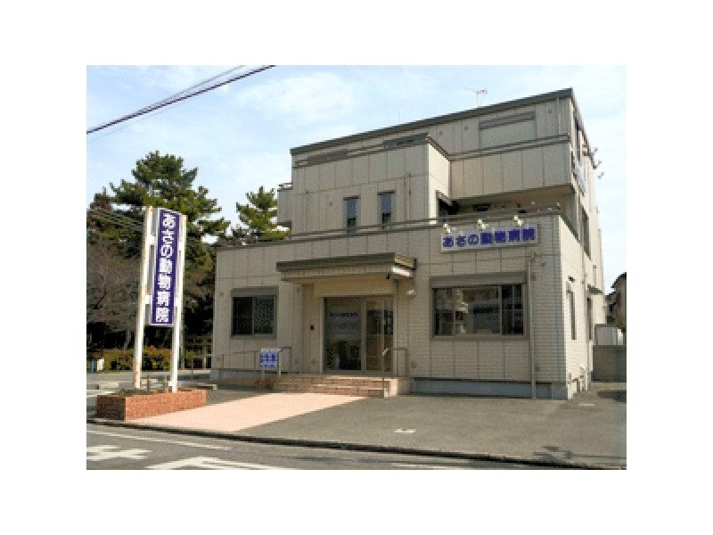 あさの動物病院