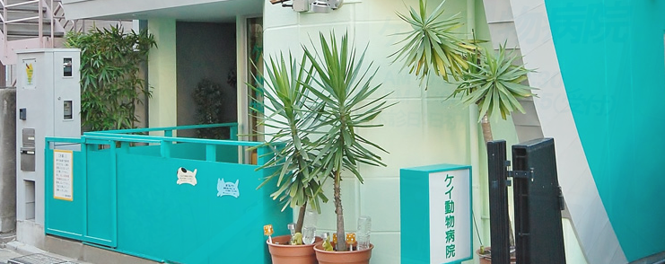 ケイ動物病院