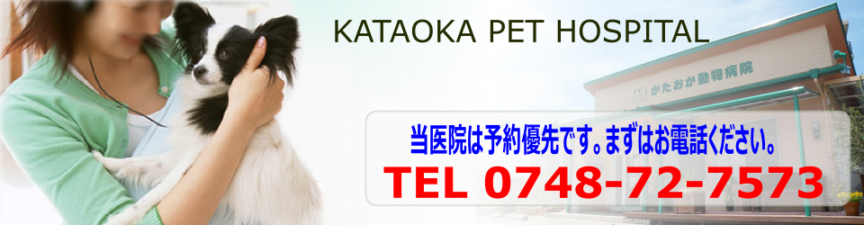 かたおか動物病院