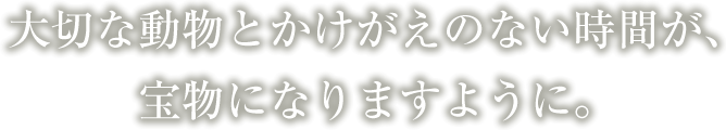 ゆみ動物病院