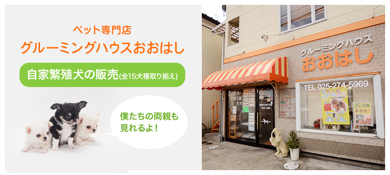 グルーミングハウスおおはし