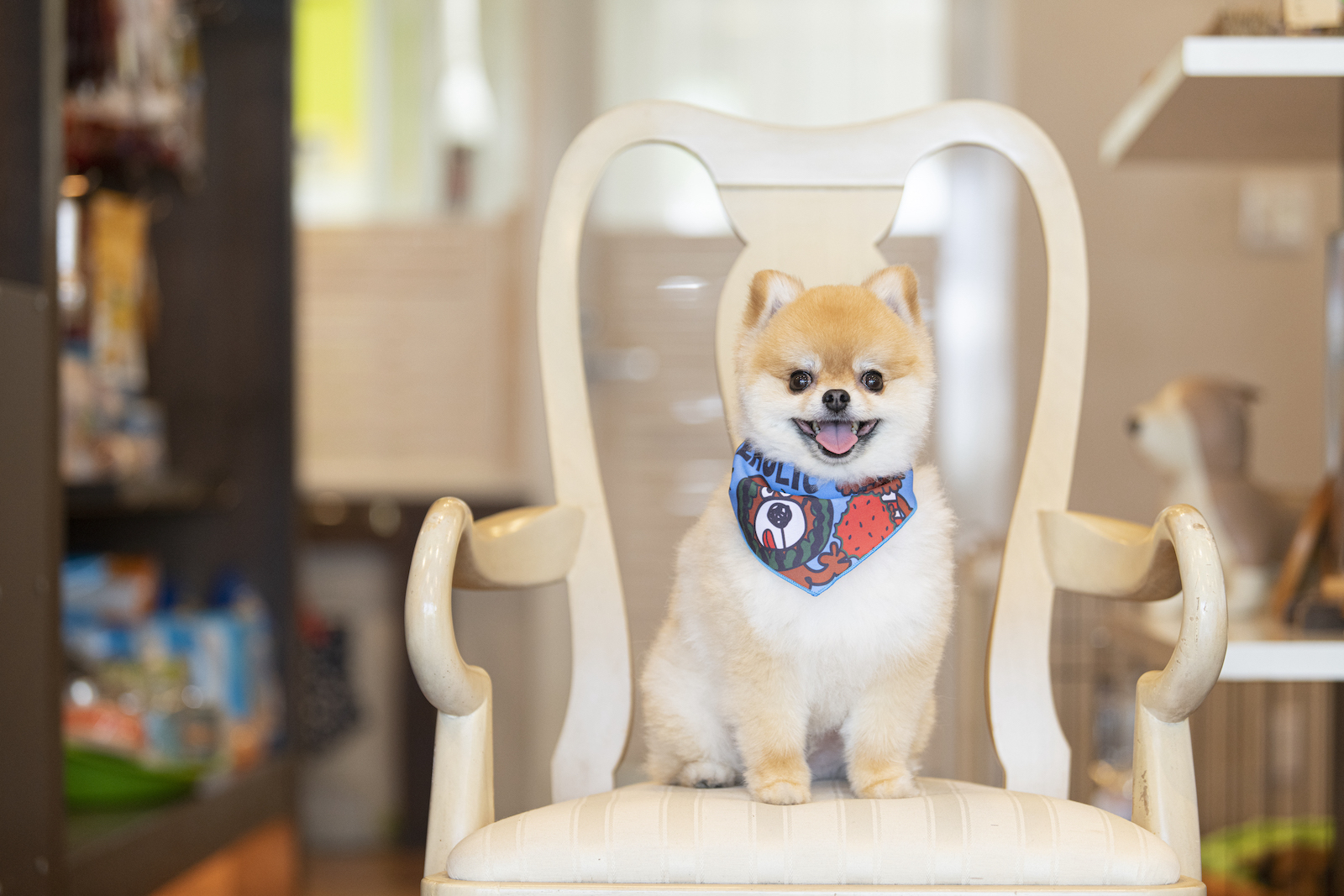 ヤンキーエンジェル尾道店