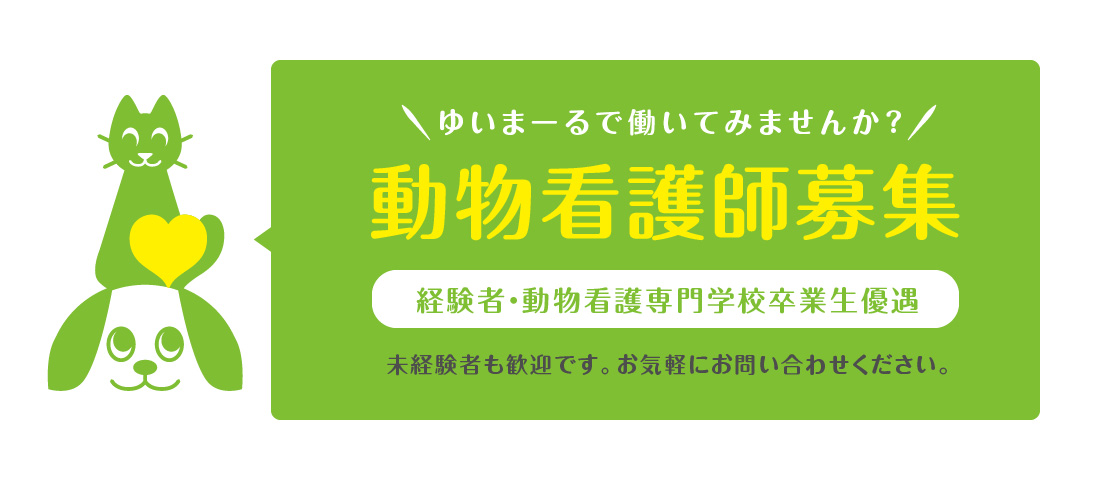 犬猫病院ゆいまーる