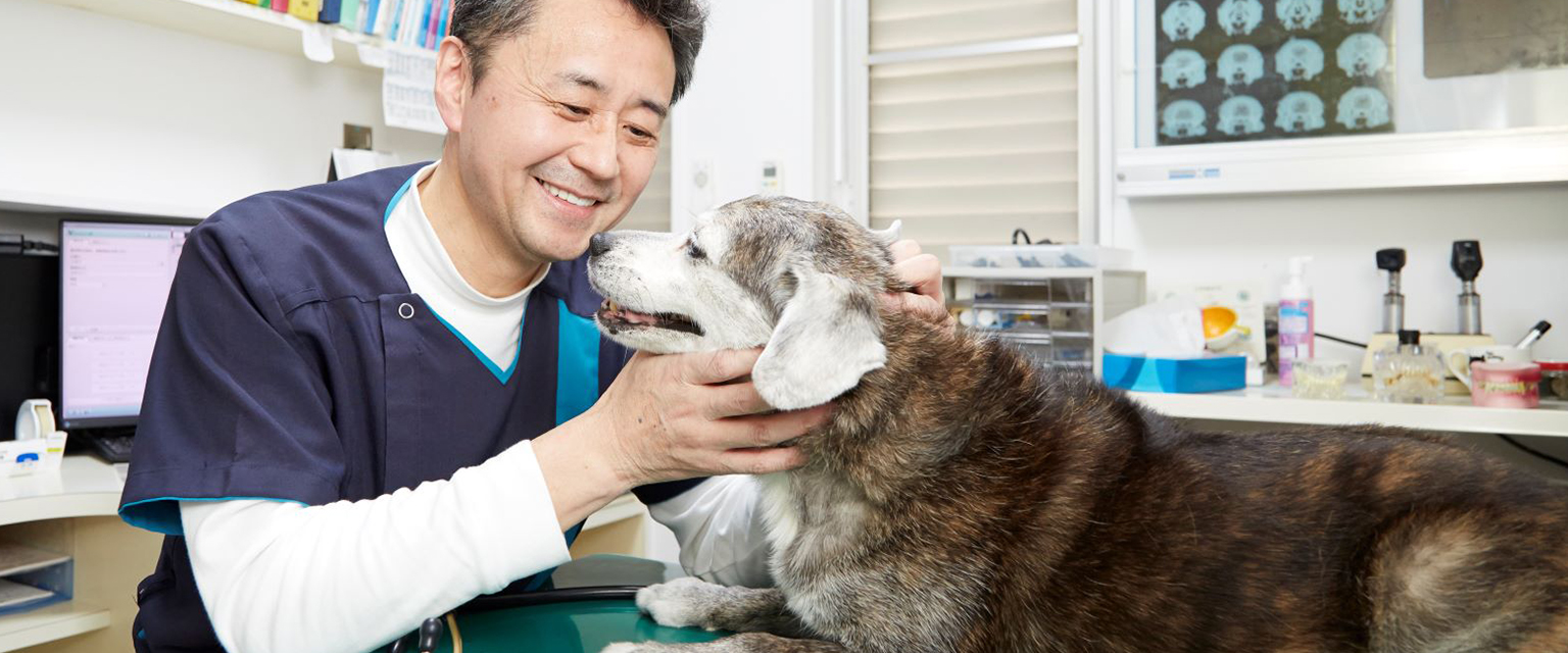 ごゆ動物病院