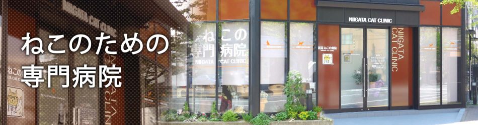 新潟ねこの病院