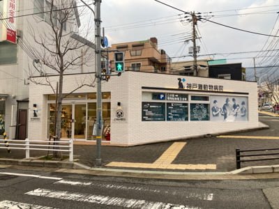 神戸灘動物病院