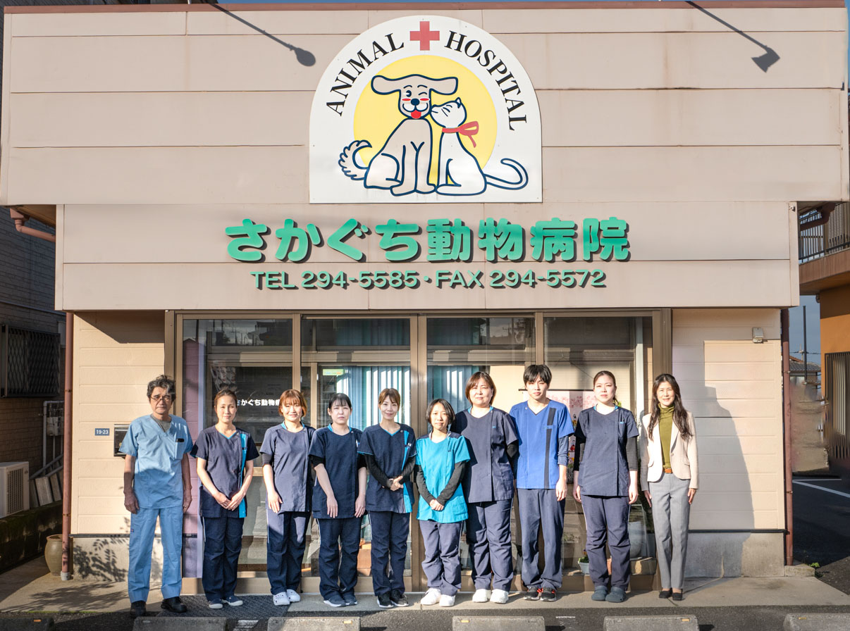 さかぐち動物病院
