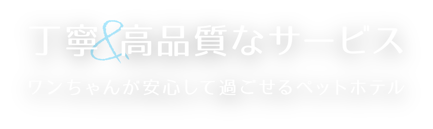 ドッグサロン ココパルフェ