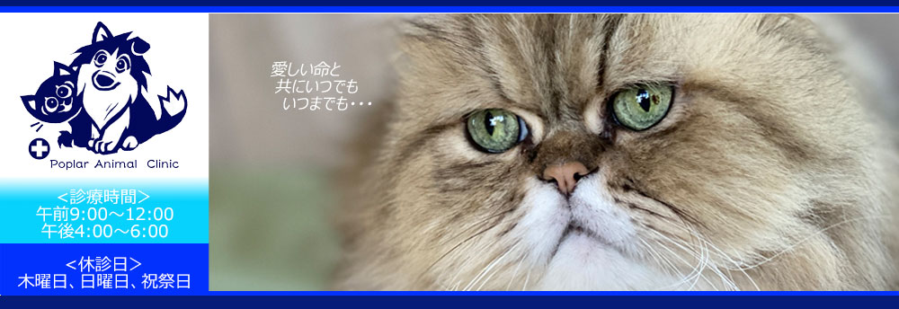 ポプラ動物病院