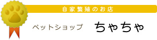 ペットショップ ちゃちゃ