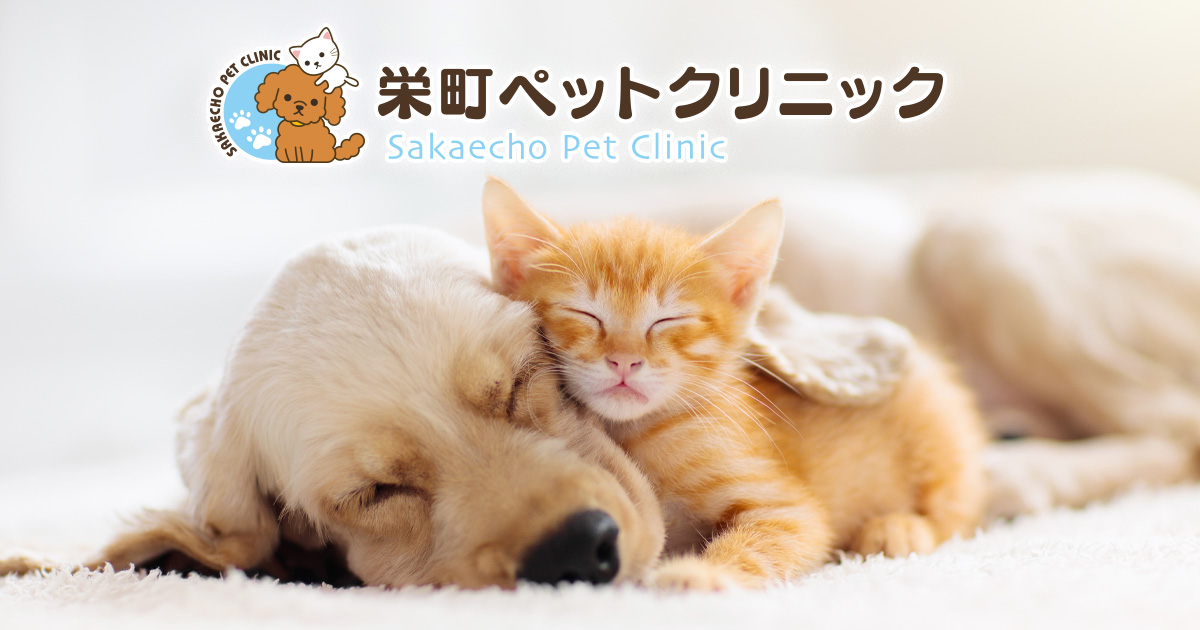 栄町ペットクリニック