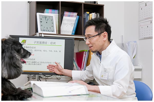 かなくぼ動物病院