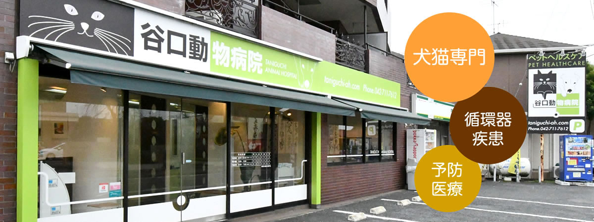 谷口動物病院