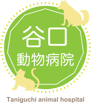 谷口動物病院