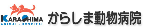 からしま動物病院