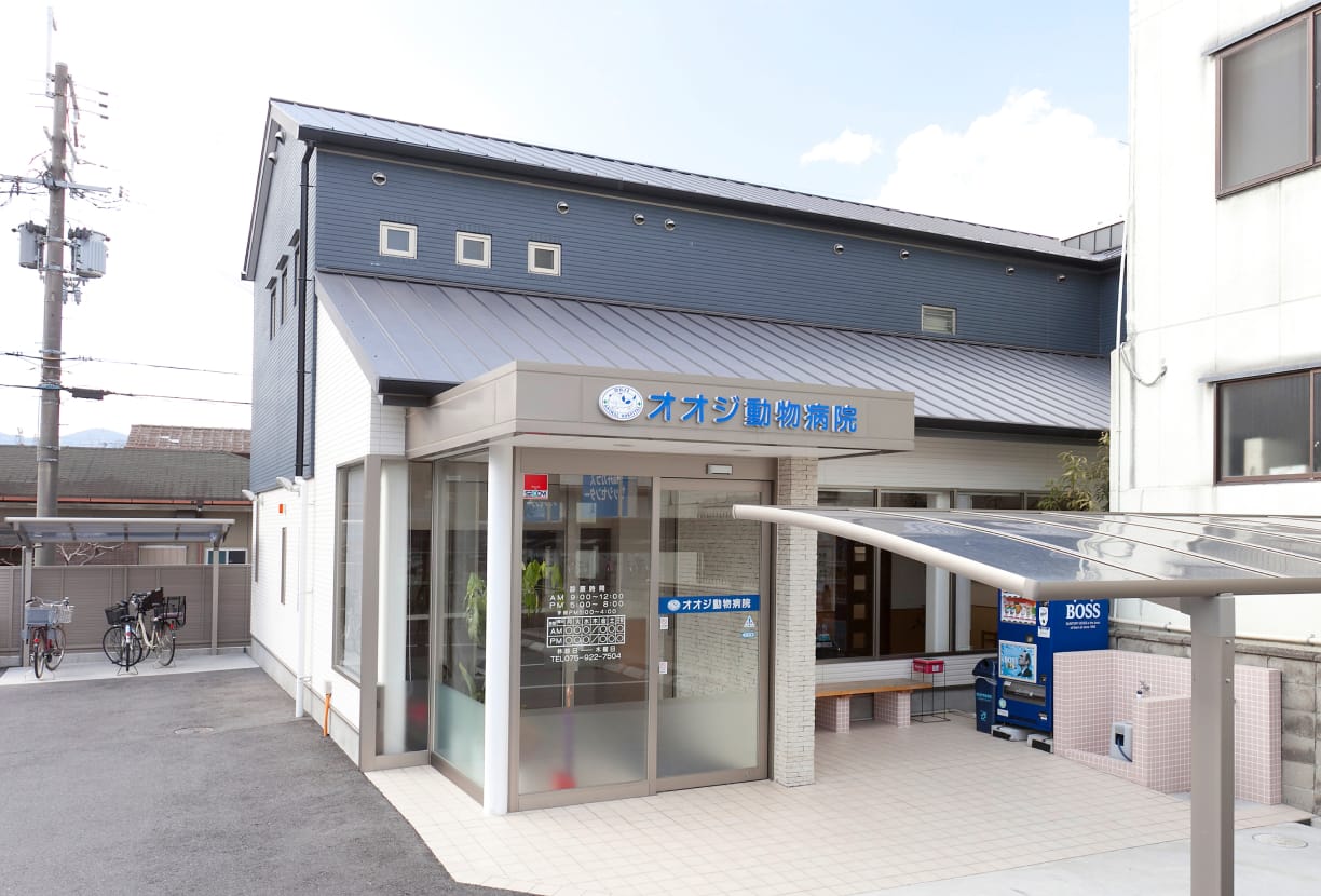 オオジ動物病院