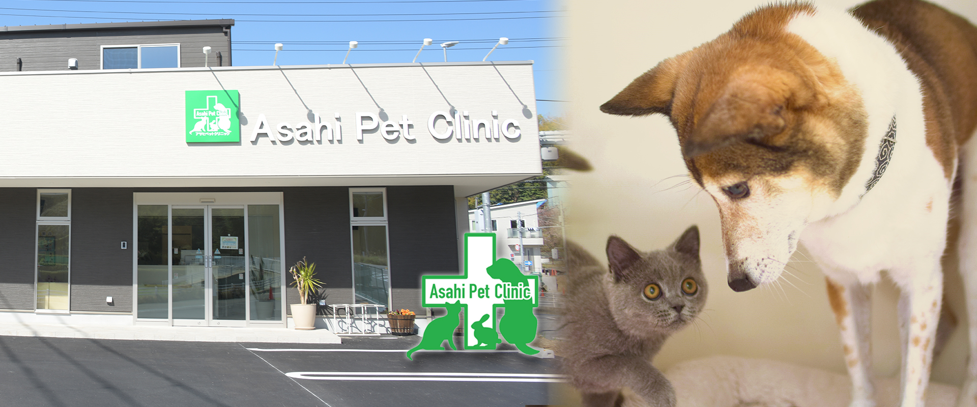 アサヒペットクリニック本院