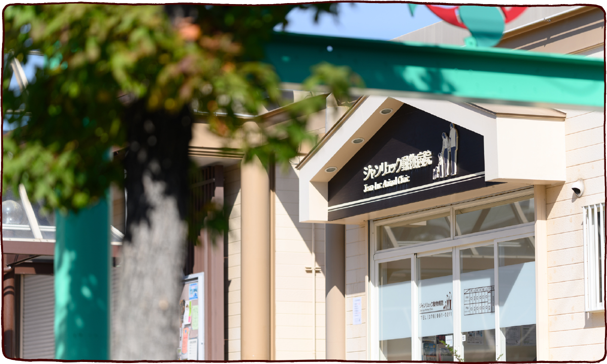 ジャンリュック動物病院