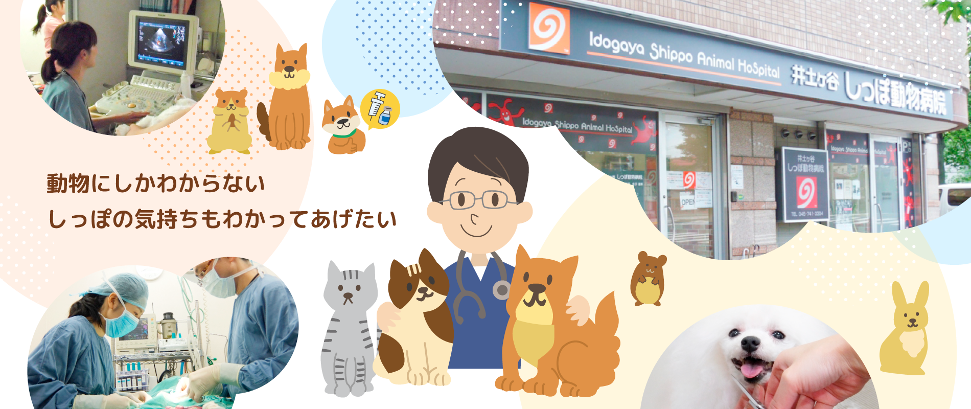 井土ヶ谷しっぽ動物病院