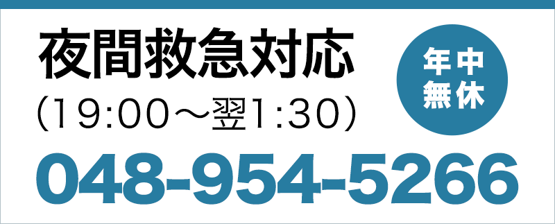 ミライノ動物病院