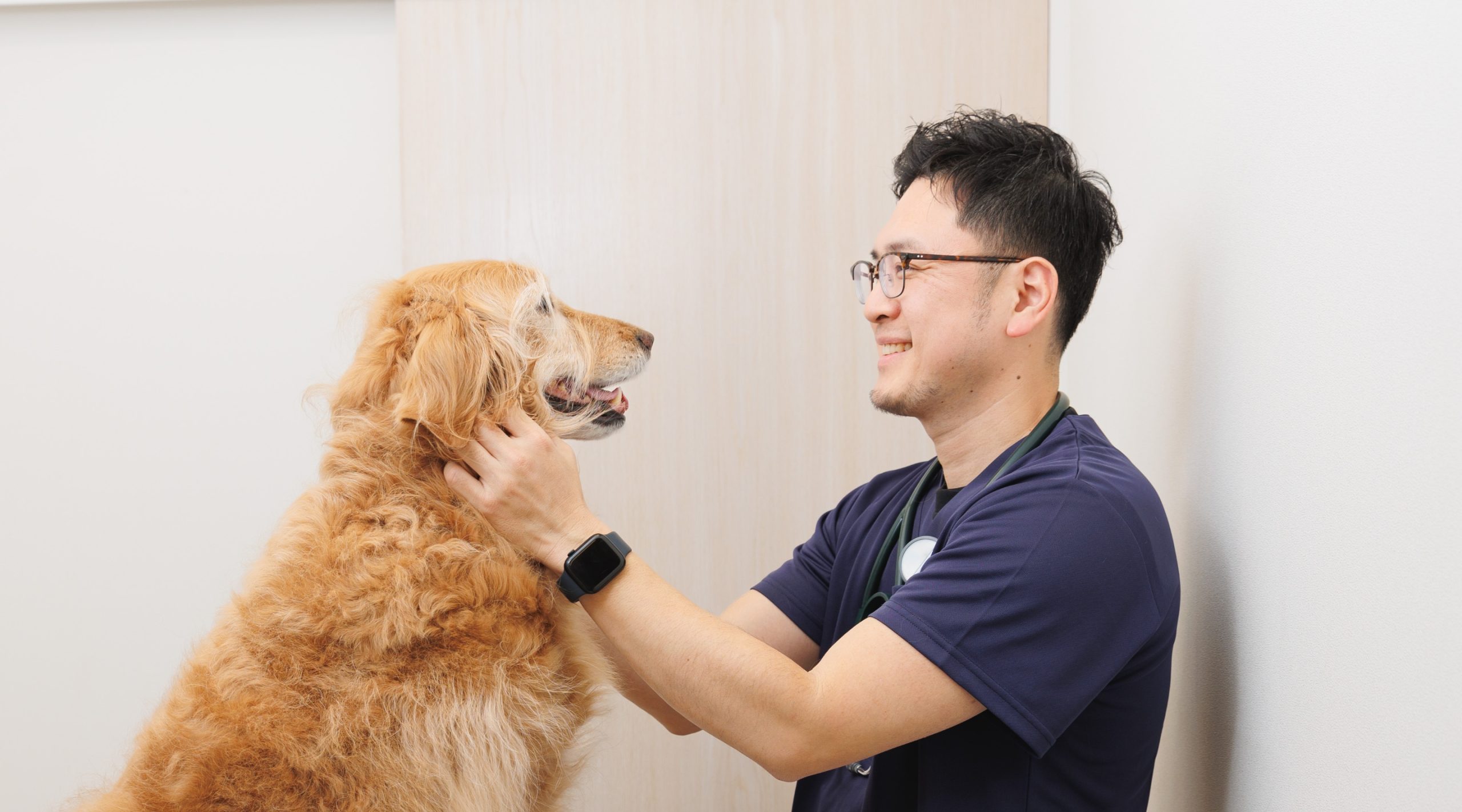 坂の上の動物病院