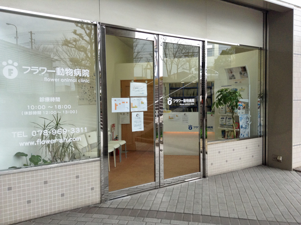 フラワー動物病院